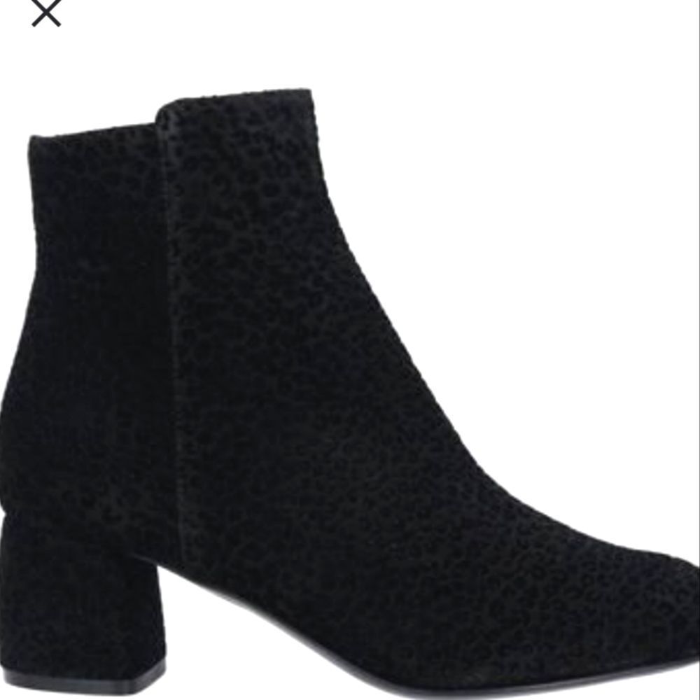 AGL Darling Suede‎ Booties